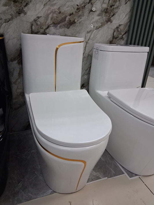 Luxury toilet